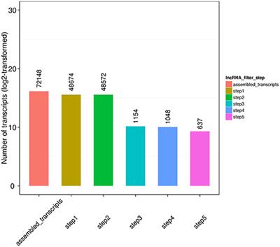 Transcriptomic Analysis of Potential “lncRNA–mRNA” Interactions in Liver of the Marine Teleost Cynoglossus semilaevis Fed Diets With Different DHA/EPA Ratios